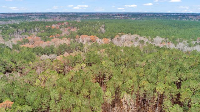 Lot 4 Saggus Road, Washington, GA 30673