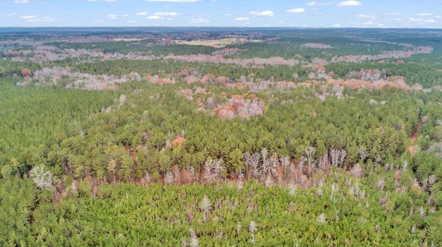 Lot 4 Saggus Road, Washington, GA 30673