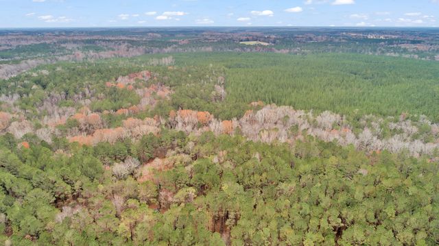 Lot 4 Saggus Road, Washington, GA 30673