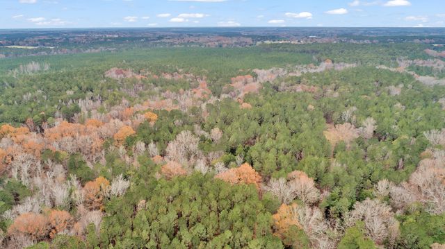 Lot 4 Saggus Road, Washington, GA 30673