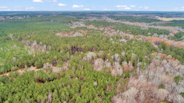 Lot 4 Saggus Road, Washington, GA 30673