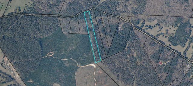 Lot 4 Saggus Road, Washington, GA 30673