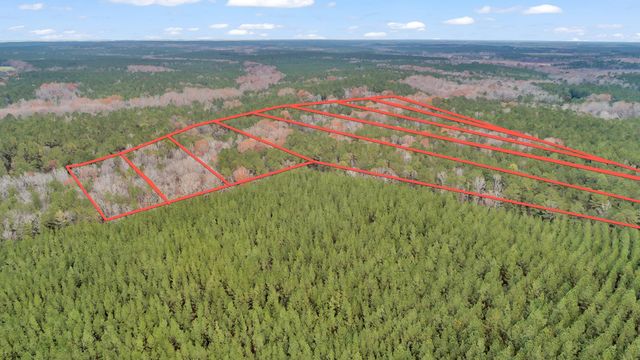 Lot 4 Saggus Road, Washington, GA 30673