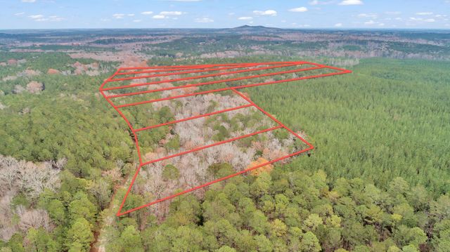 Lot 4 Saggus Road, Washington, GA 30673