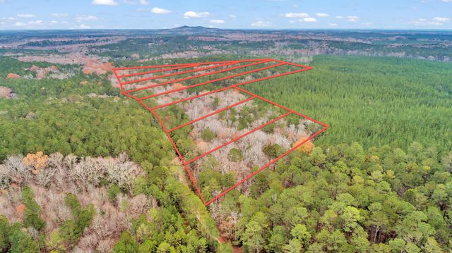 Lot 4 Saggus Road, Washington, GA 30673