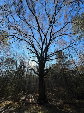 Lot 4 Saggus Road, Washington, GA 30673