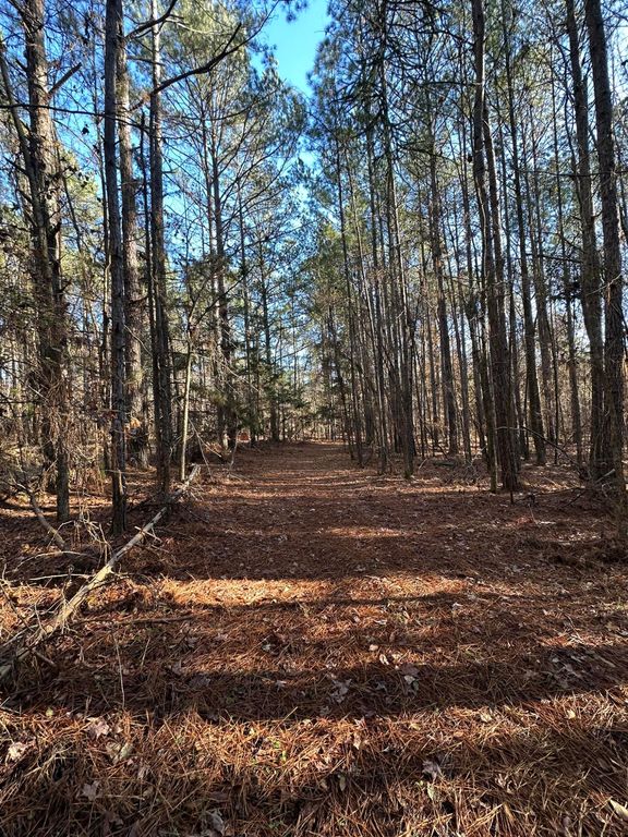 Lot 4 Saggus Road, Washington, GA 30673