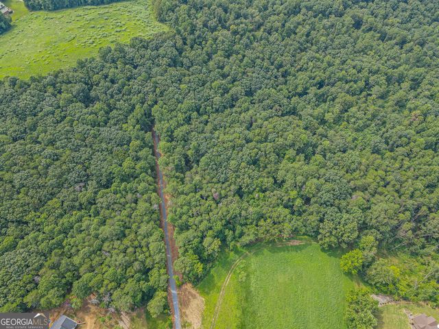 0 Orchard Lane, Talking Rock, GA 30175