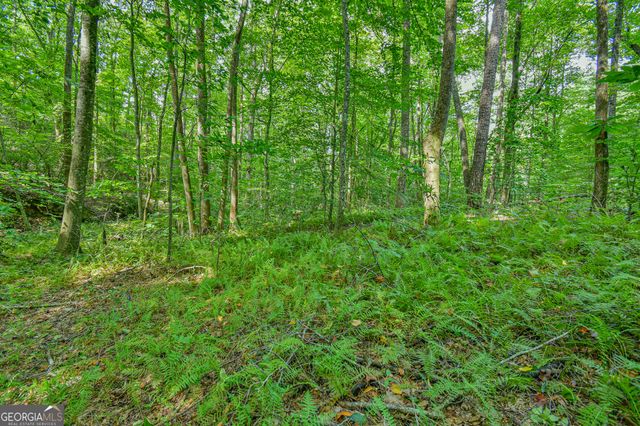 0 Orchard Lane, Talking Rock, GA 30175