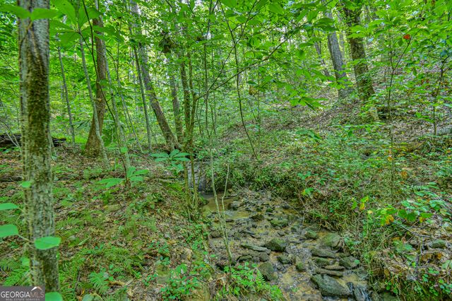 0 Orchard Lane, Talking Rock, GA 30175