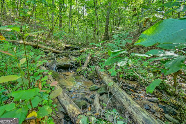 0 Orchard Lane, Talking Rock, GA 30175