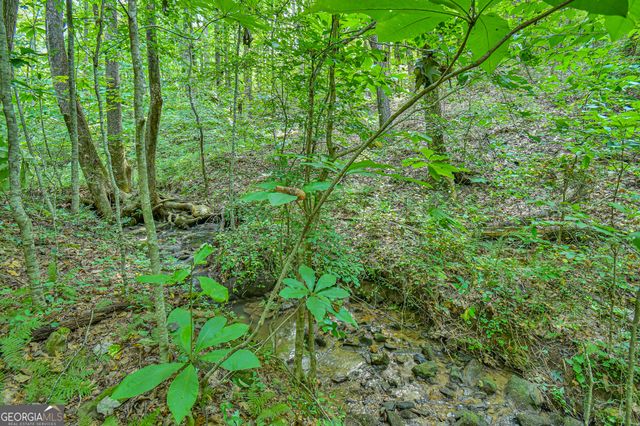 0 Orchard Lane, Talking Rock, GA 30175