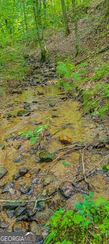 0 Orchard Lane, Talking Rock, GA 30175