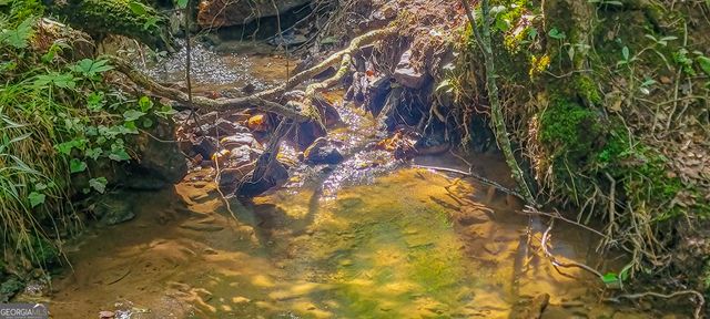 0 Orchard Lane, Talking Rock, GA 30175