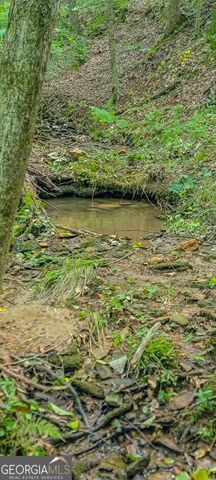 0 Orchard Lane, Talking Rock, GA 30175