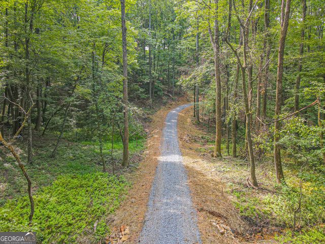 0 Orchard Lane, Talking Rock, GA 30175