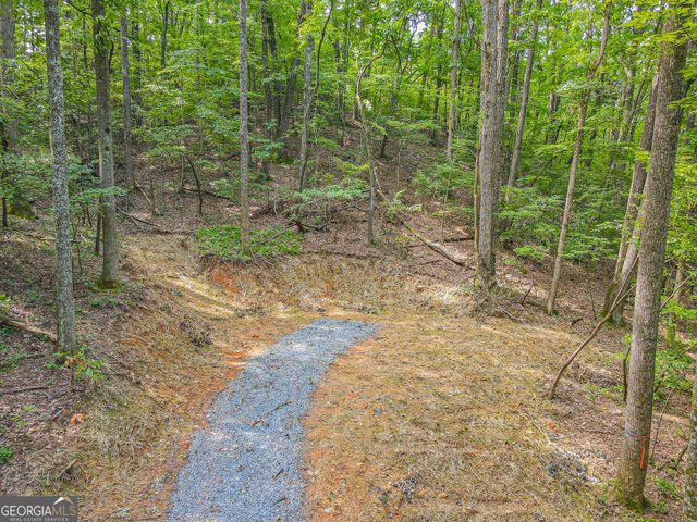 0 Orchard Lane, Talking Rock, GA 30175