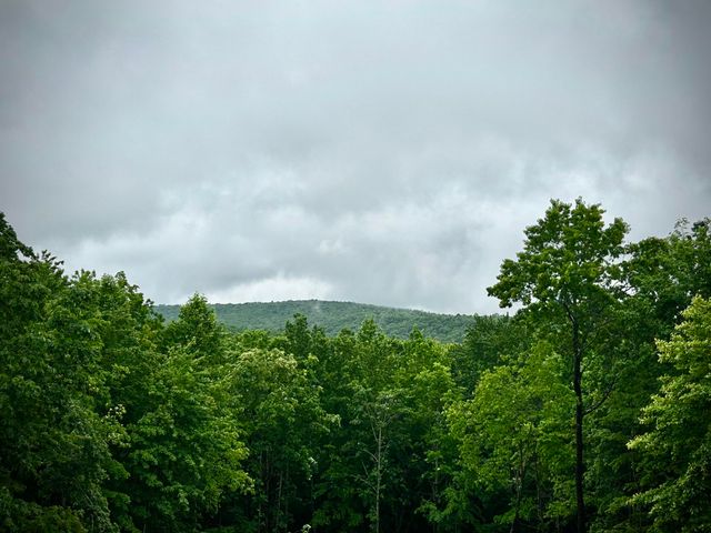 209 Tunnie Point, Dunlap, TN 37327