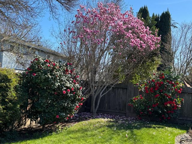 3600 Coye Oak Dr, Modesto, CA 95355