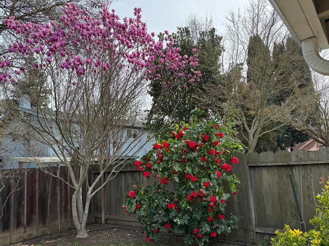 3600 Coye Oak Dr, Modesto, CA 95355