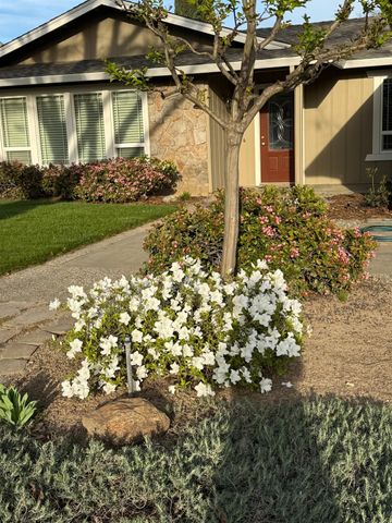 3600 Coye Oak Dr, Modesto, CA 95355