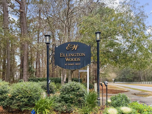 1441 Wellbrooke Lane, Mount Pleasant, SC 29466