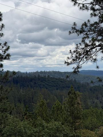 18060 Burgen Dr, Applegate, CA 95703
