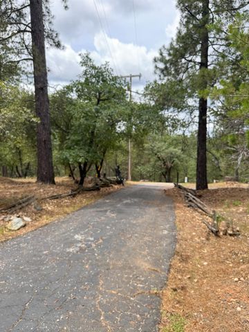 18060 Burgen Dr, Applegate, CA 95703