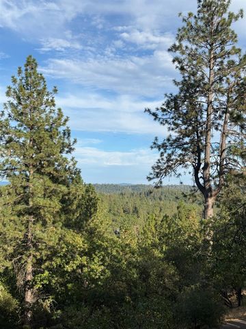 18060 Burgen Dr, Applegate, CA 95703