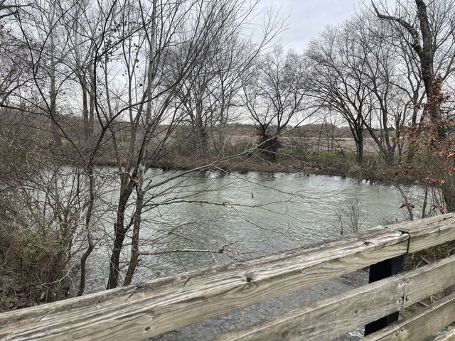 1446 Rebecca Johns Dr, Murfreesboro, TN 37128