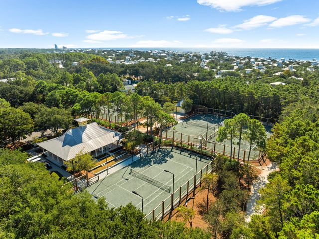261 Needlerush Drive, Santa Rosa Beach, FL 32459