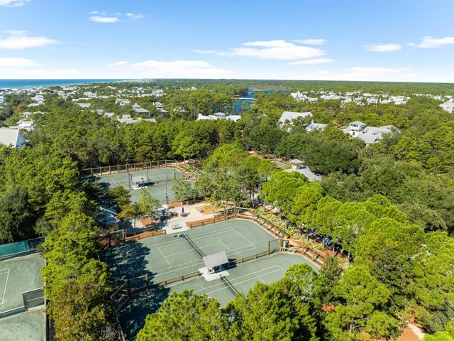 261 Needlerush Drive, Santa Rosa Beach, FL 32459