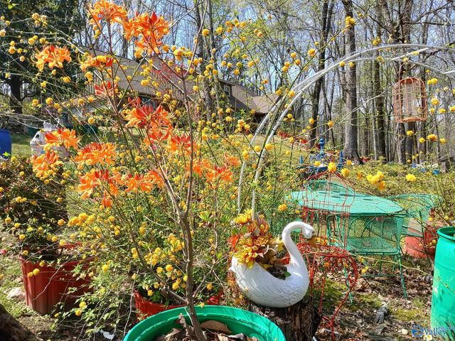 3702 Montevallo Road SW, Decatur, AL 35603