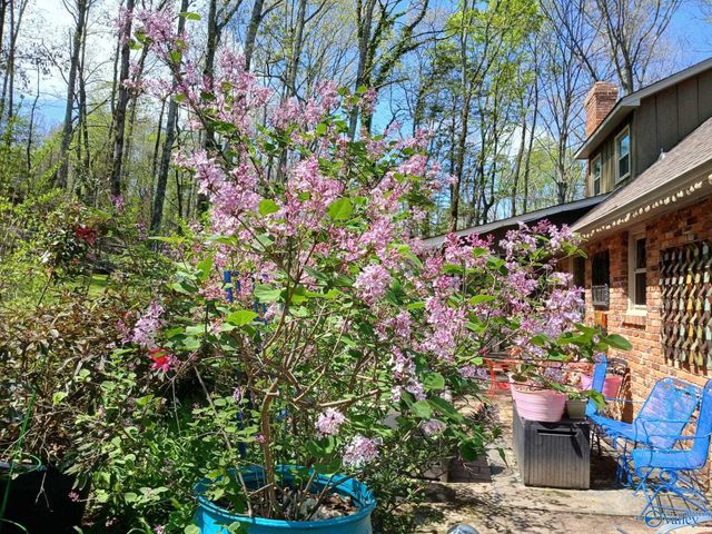 3702 Montevallo Road SW, Decatur, AL 35603