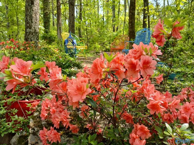 3702 Montevallo Road SW, Decatur, AL 35603