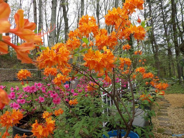 3702 Montevallo Road SW, Decatur, AL 35603