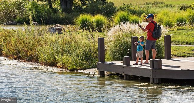 25766 FORERUNNER LN, Aldie, VA 20105