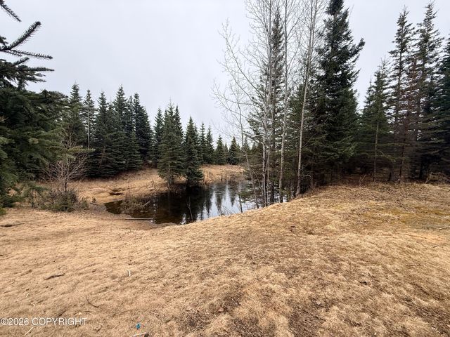 37350 Chinook Street, Soldotna, AK 99669