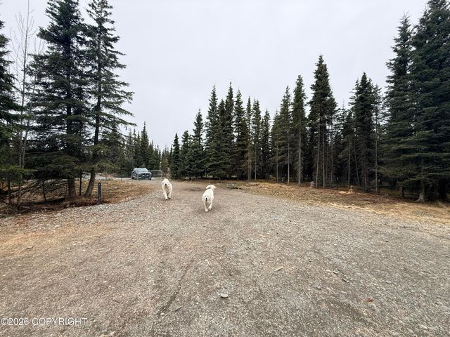37350 Chinook Street, Soldotna, AK 99669
