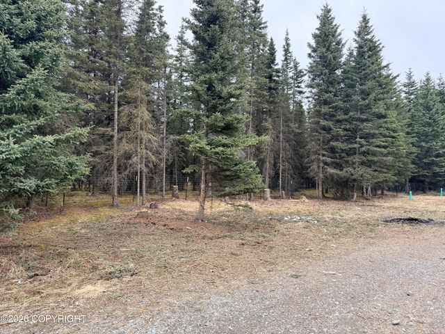 37350 Chinook Street, Soldotna, AK 99669