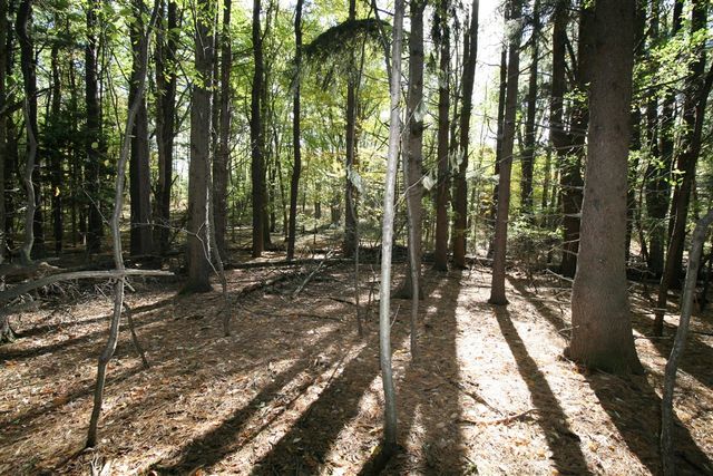 D.2 70th Street, South Haven, MI 49090