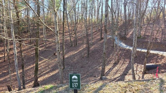137 Red Oak Trail, Ellijay, GA 30540