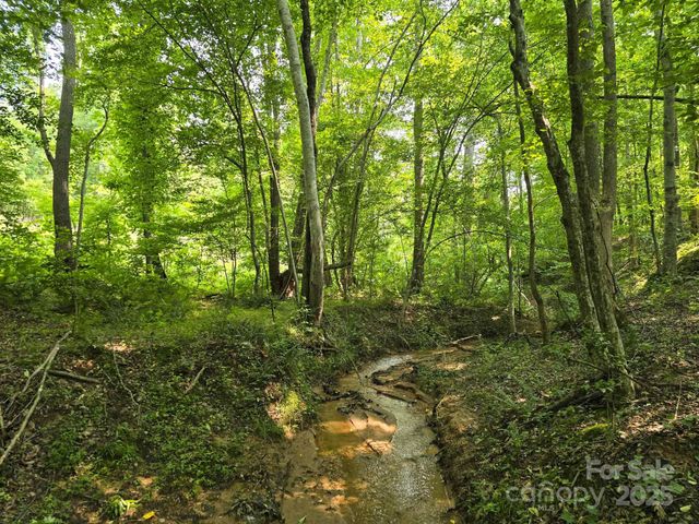 Lot 26 Grandview Drive 26, Rutherfordton, NC 28139