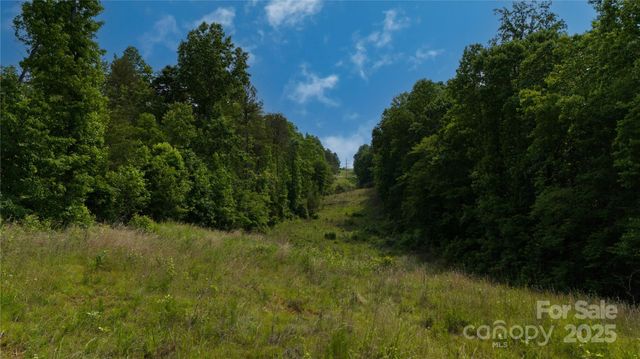 Lot 26 Grandview Drive 26, Rutherfordton, NC 28139