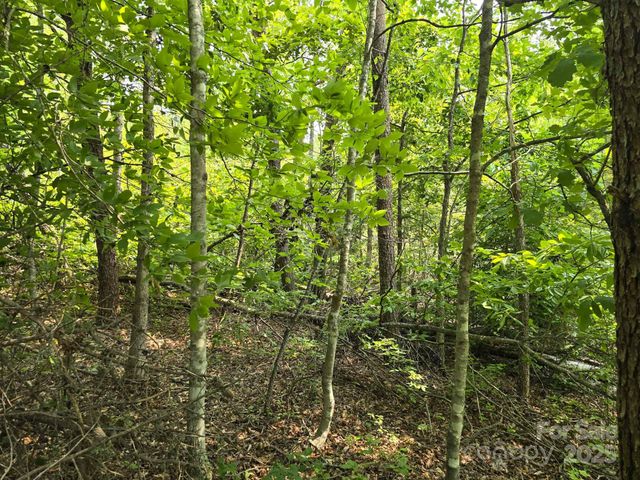 Lot 26 Grandview Drive 26, Rutherfordton, NC 28139