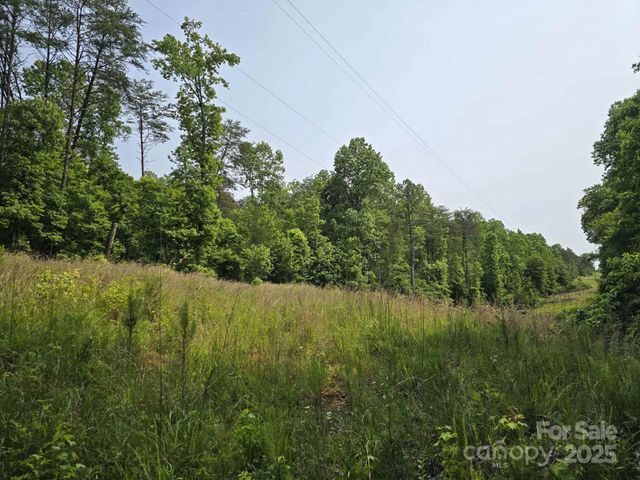 Lot 26 Grandview Drive 26, Rutherfordton, NC 28139