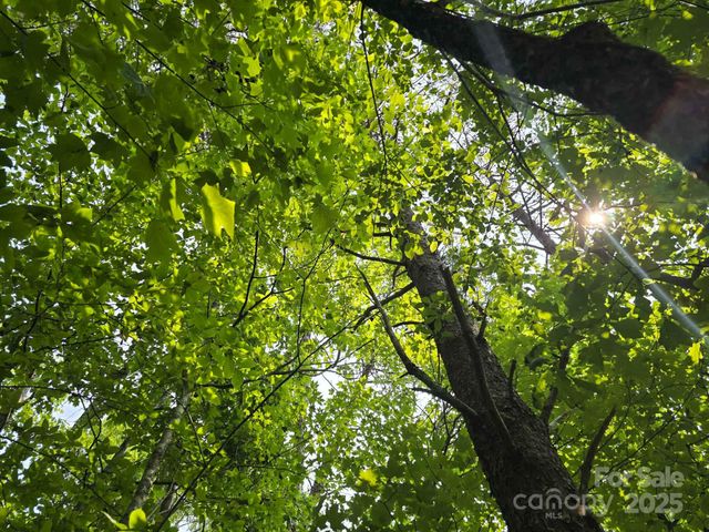 Lot 26 Grandview Drive 26, Rutherfordton, NC 28139