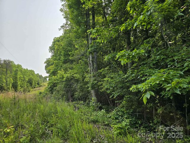 Lot 26 Grandview Drive 26, Rutherfordton, NC 28139