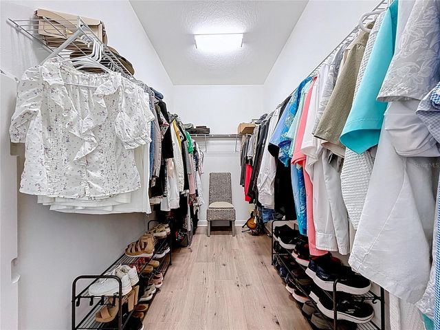 13907 ROSEATE TERN LANE, Riverview, FL 33579