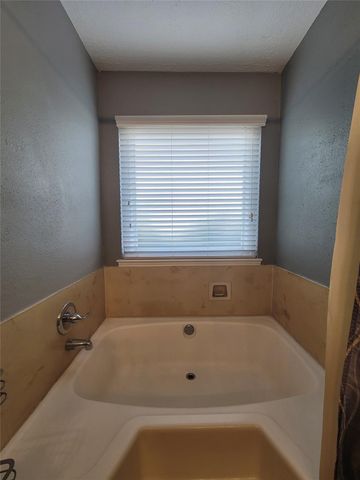 11630 Briar Rose Drive, Houston, TX 77077